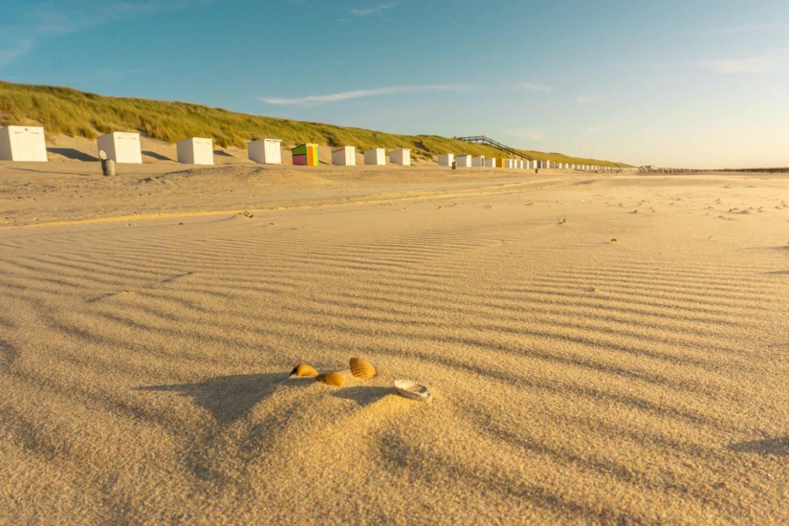 'Relax Lodge Sea' - Wellness Lodge In Zeeland - Private Sauna - Airco - Garden - Outdoor Swimming Pool - Free Wifi, Towels & Bed Linen Heinkenszand Eksteriør billede